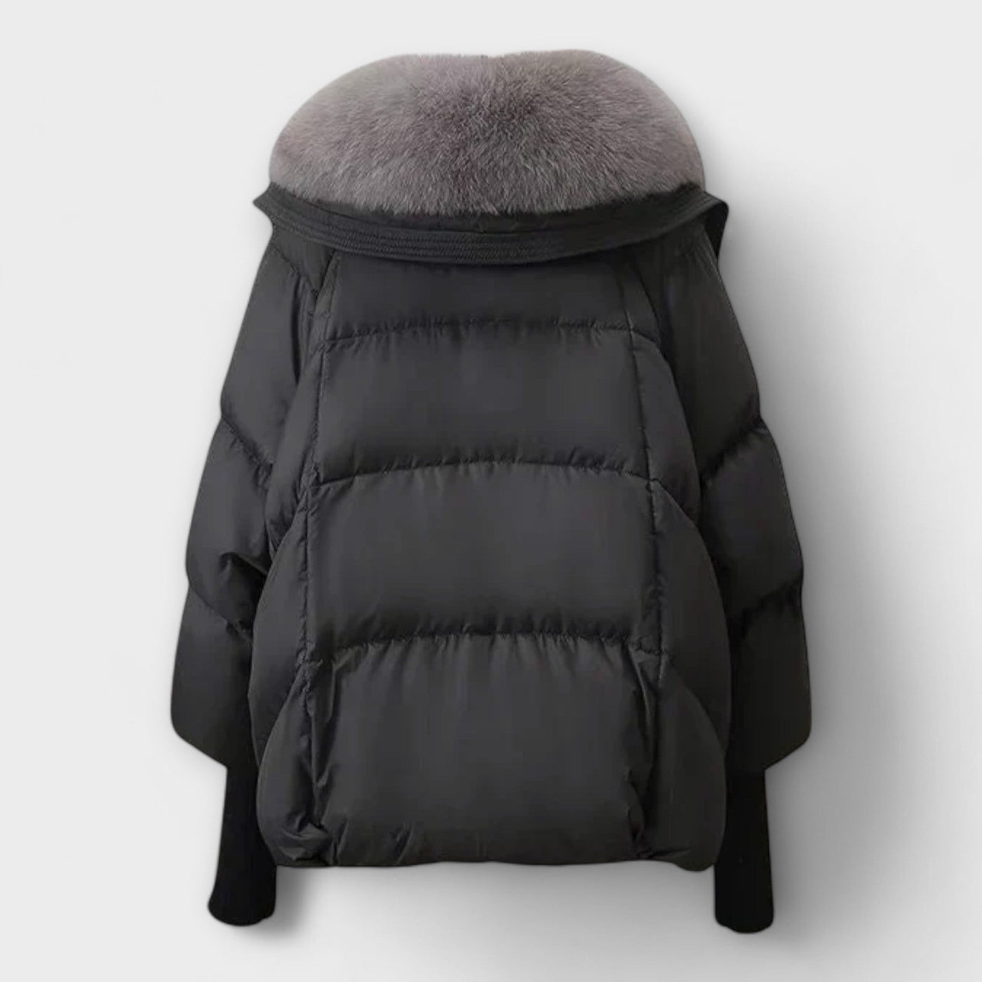 Elegant Coat with Fur